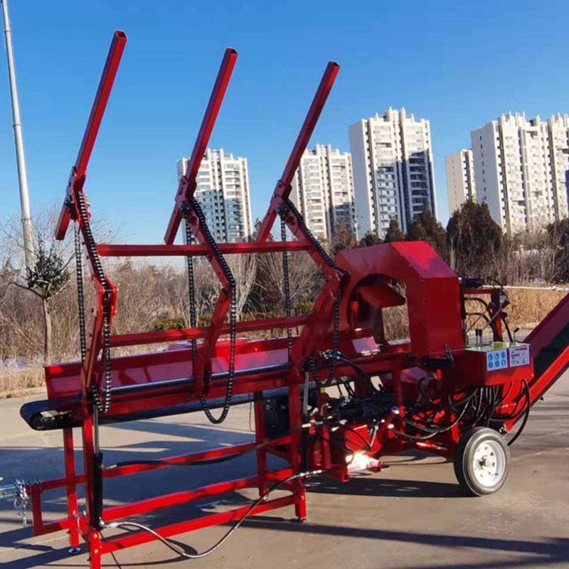 Pemotong Kayu Gas 6 Arah Tugas - Heavy Equipment Processor ulasan dan harga